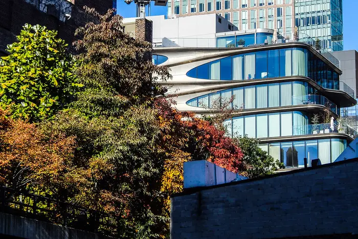 A landscape shot of trees turning orange and red next to an interesting building by the High Line.